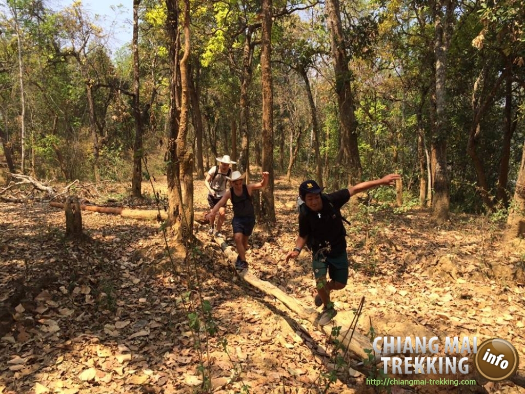 Wonderful 3-days/2-nights trekking | Chiang Mai Trekking | Le meilleur trekking à Chiang Mai avec Piroon Nantaya